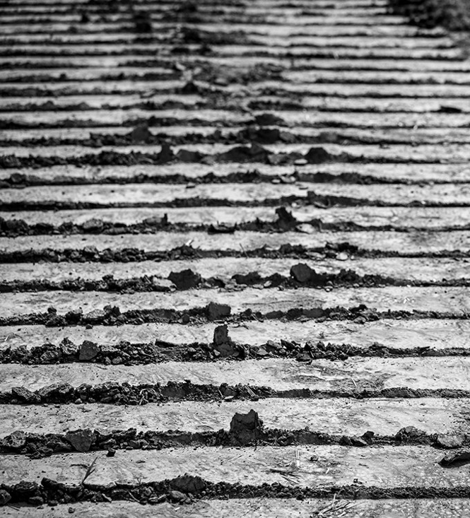 solar Background_121222