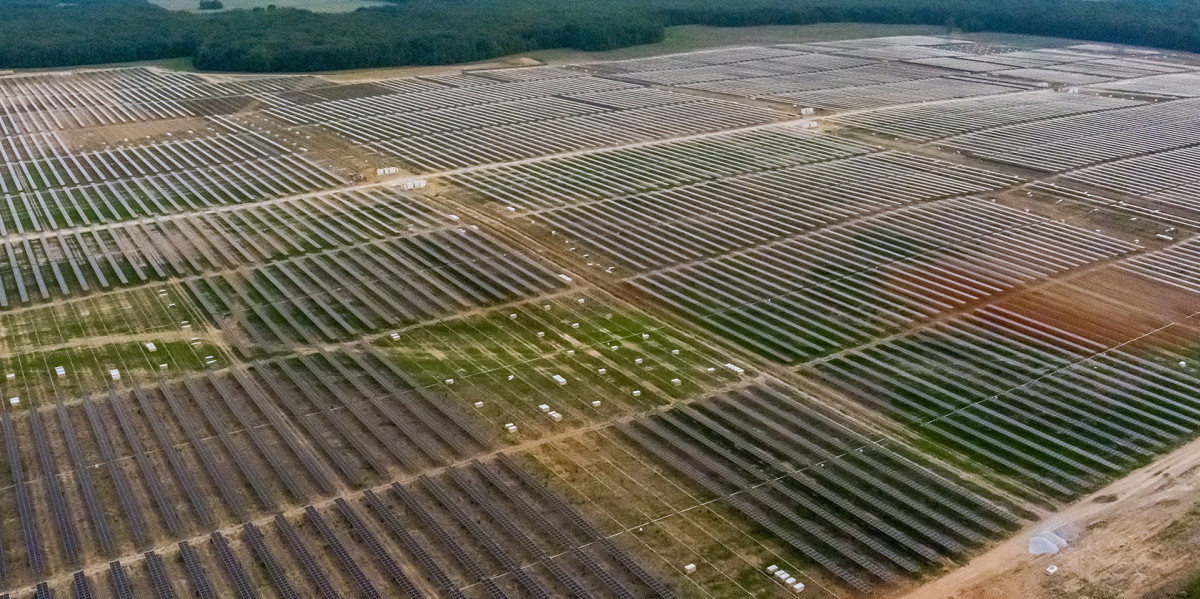 Elora Masthead_121222