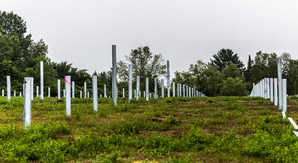 Farmington-06302020-099