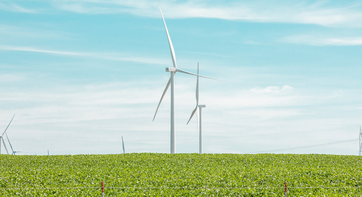 Triple H 07302020-008