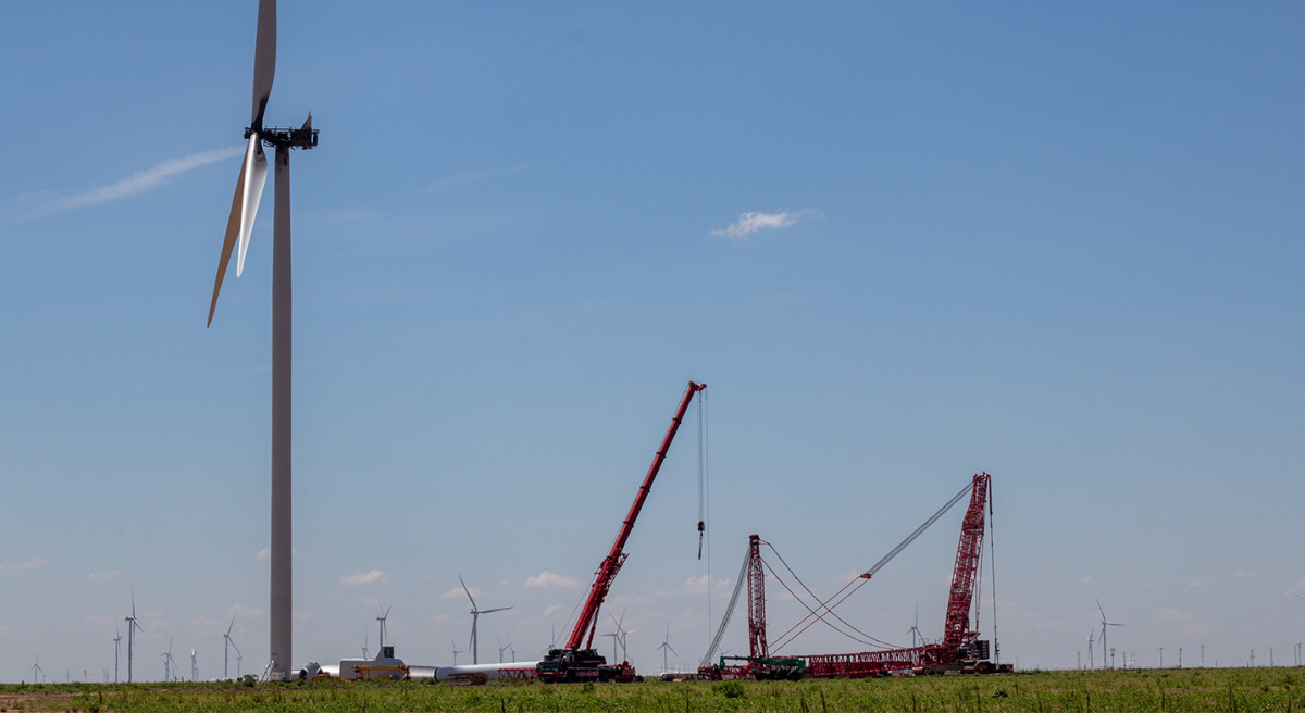 Hale Ribbon Cutting-08