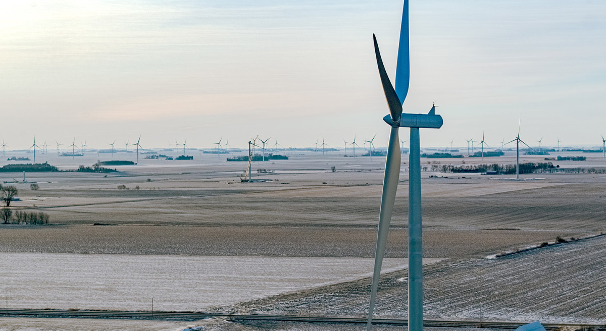 Freeborn - 01-2021_DJI_0028