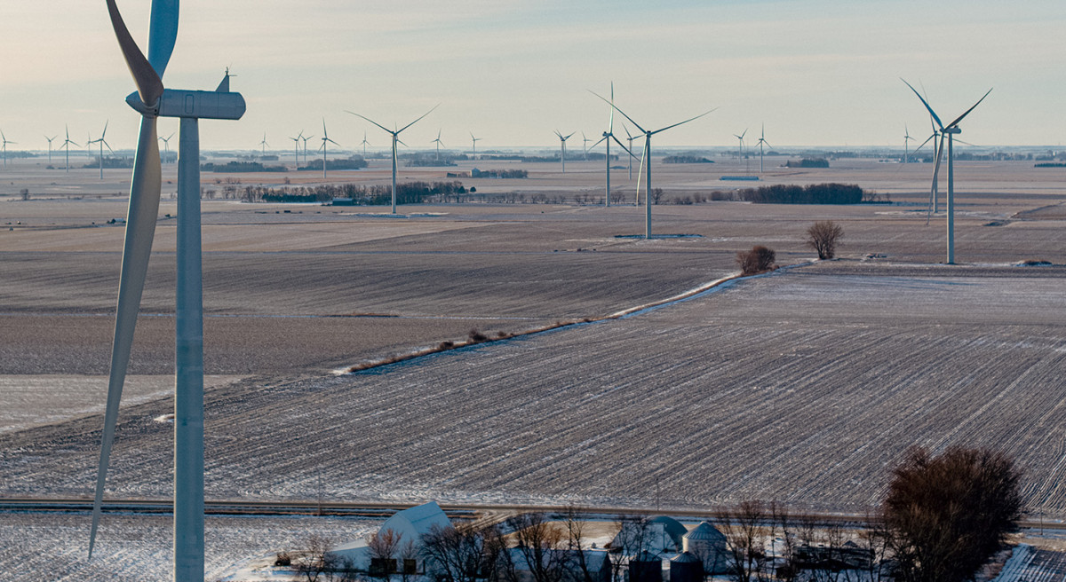 Freeborn - 01-2021_DJI_0037