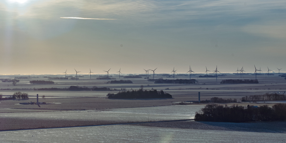 Freeborn Masthead_122722