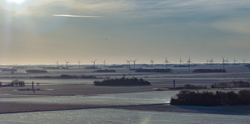 Freeborn Masthead_122722