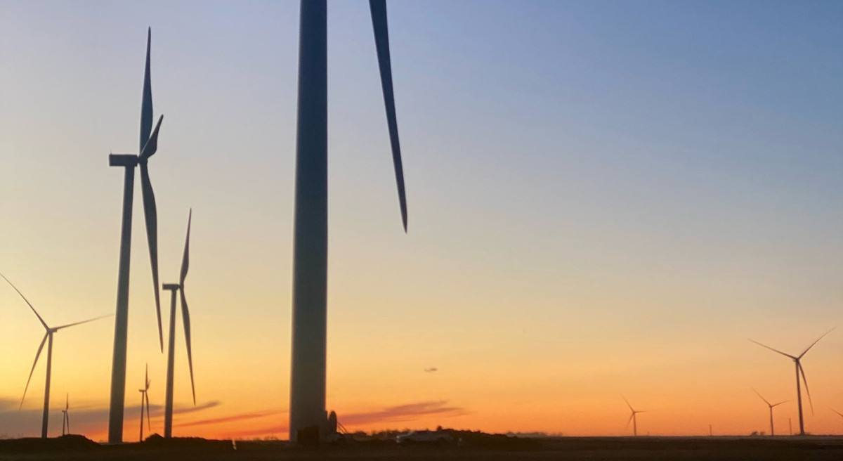 Sunflower Wind_Sunrise